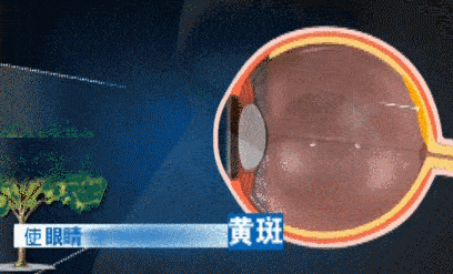 不开电子屏幕谁来救救我的眼睛？凯发K8国际版一天18个小时离(图4)