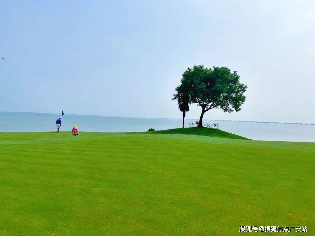 2024楼盘评测_望湖玫瑰园｜最新价格｜配套户型凯发k8国际娱乐首选望湖玫瑰园(苏州)首页网站-(图13)