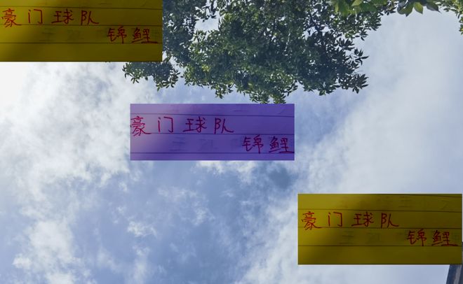 安是柏杨 申花是于汉超 海港你认为是谁凯